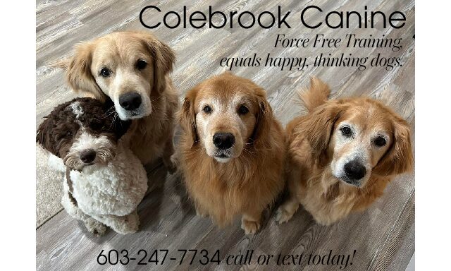 ColebrookCanine member